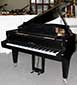Flügel-Schimmel-208S-Eiche-schwarz-1-b